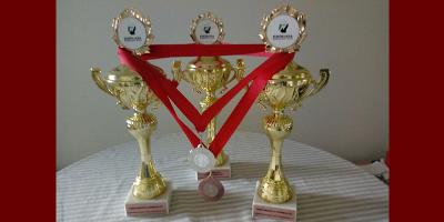 Успешно учешће наших спортских екипа на 59. Електријади